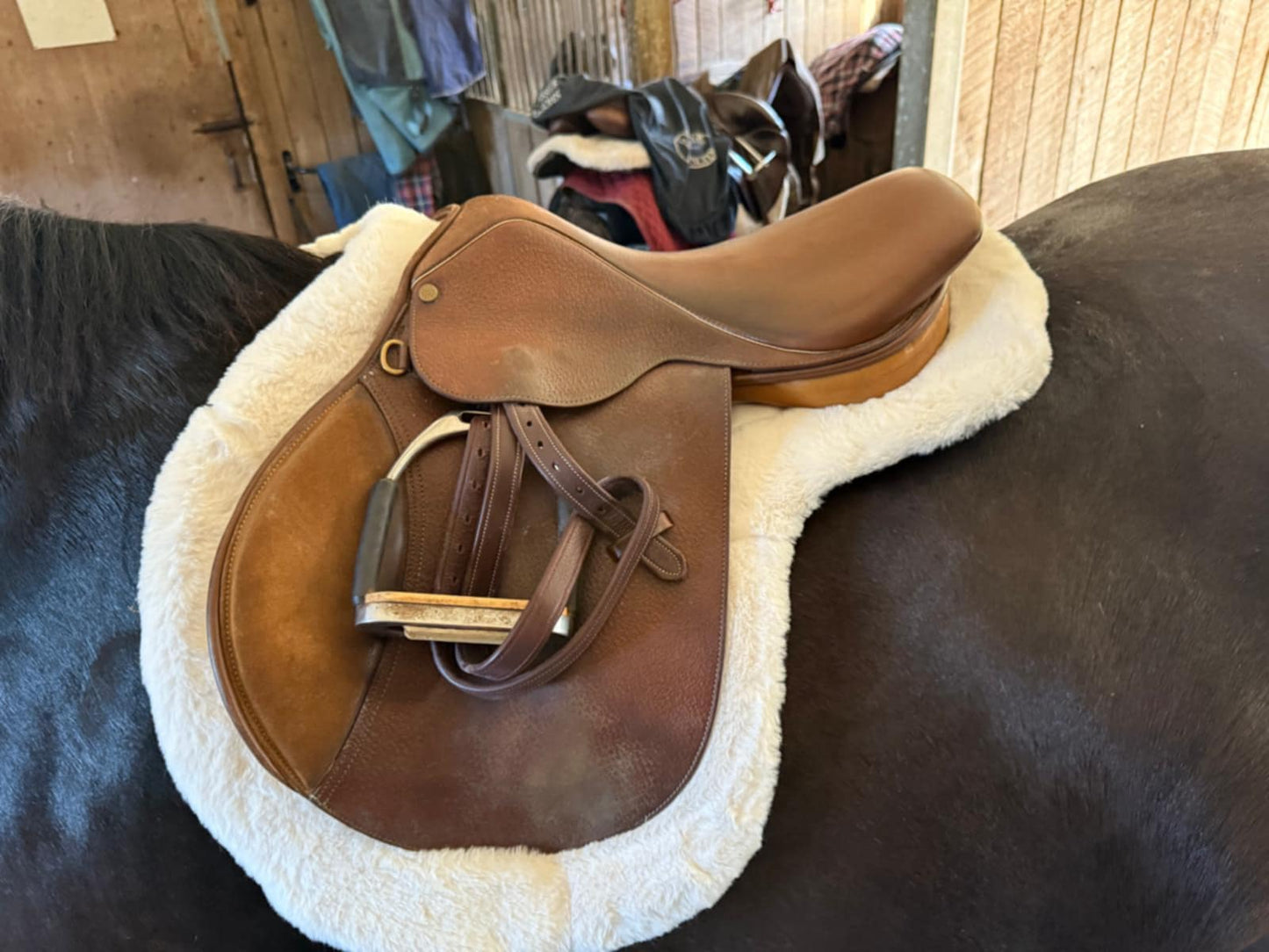 Pony Size Hunter Pad