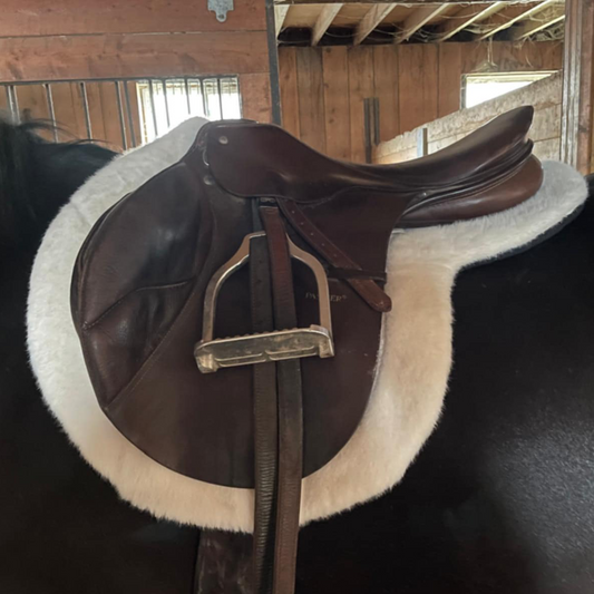 Hunter Show Pad